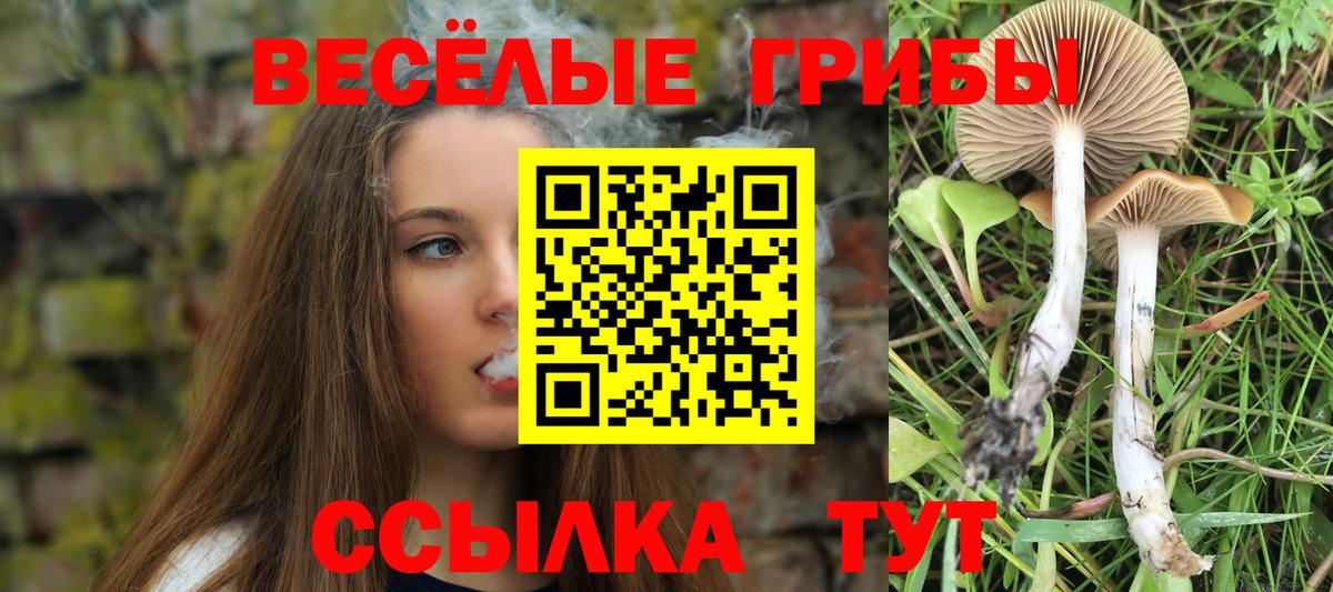 Псилоцибиновые грибы Magic Shrooms Семёнов