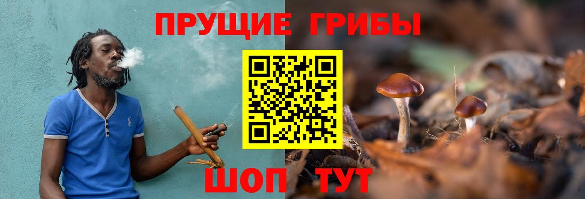 Семёнов  Псилоцибиновые грибы Psilocybe  Вход с VPN  купить наркотики сайты  Псилоцибиновые грибы GOLDEN TEACHER 